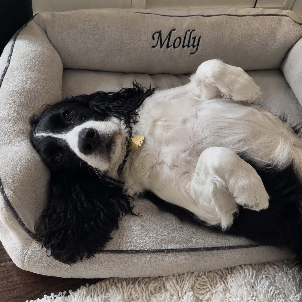 Molly